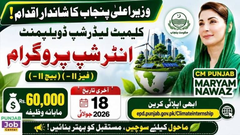 CM Punjab Climate Leadership Internship 2026 Email OTP Verification Problems – How to Fix While Applying